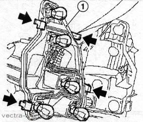 лампочки заднего фонаря